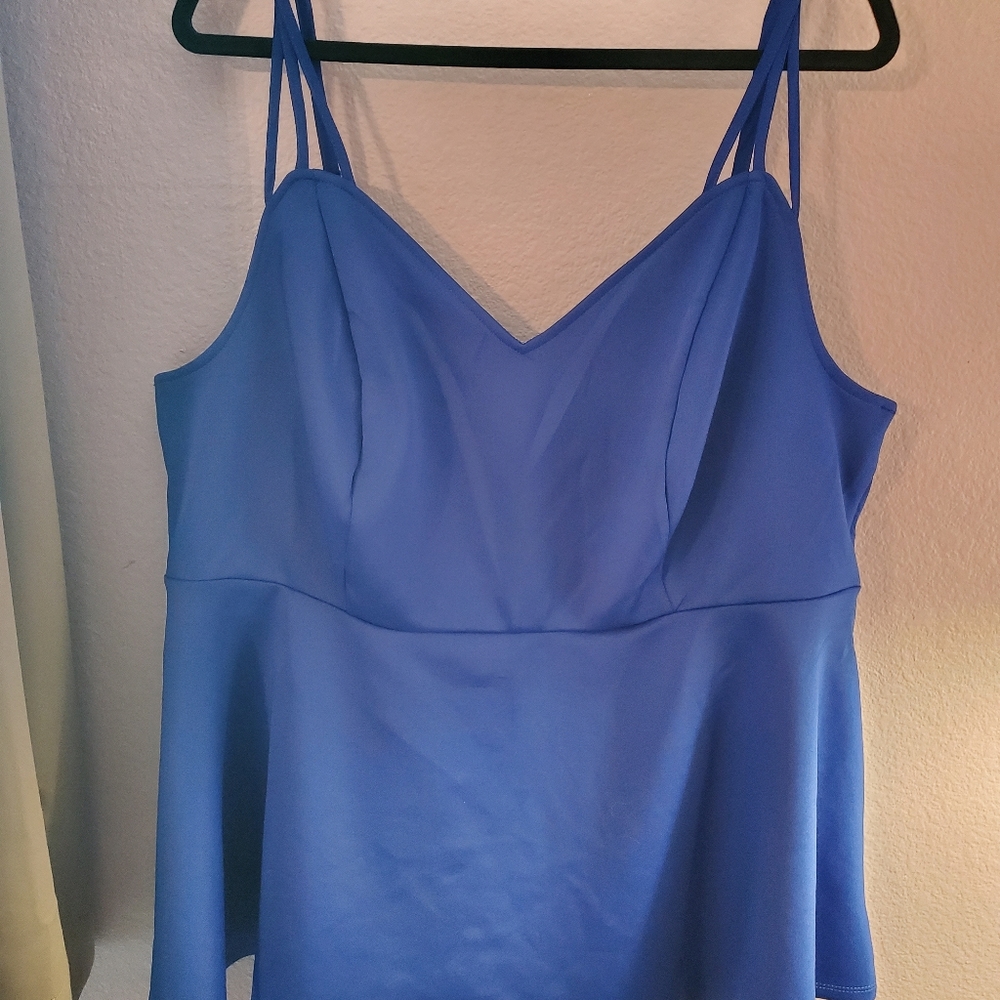 Torrid sz 3 blue peplum top